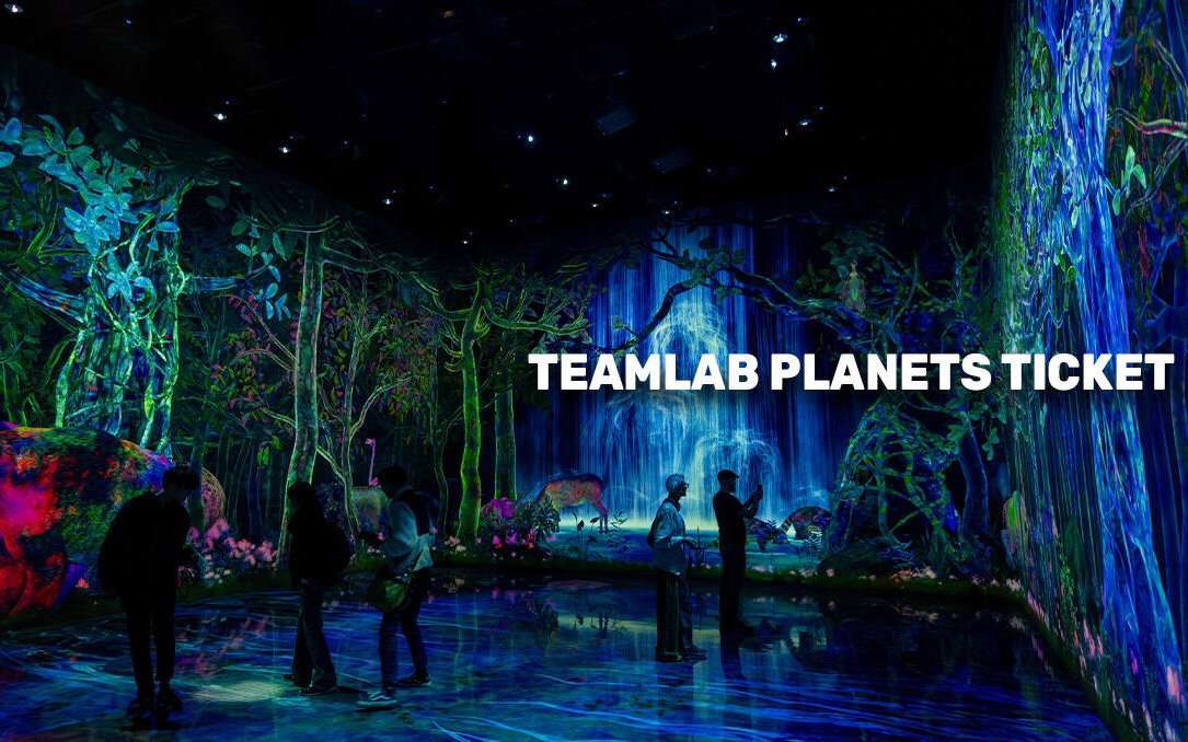 Visitors exploring immersive digital art at TeamLab Planets Tokyo.