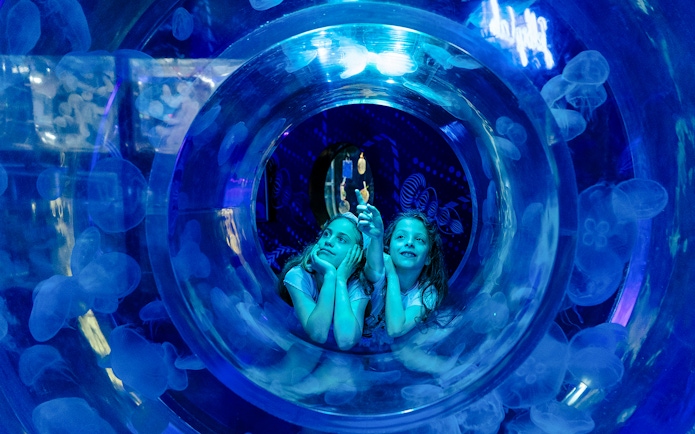 Children inside jellyfish tunnel at Ocean Invaders exhibit, SEA LIFE Melbourne.