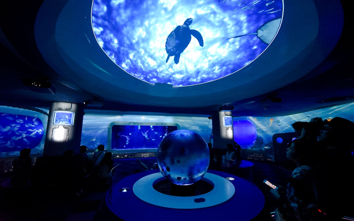 Enoshima Aquarium visitors viewing marine life in an immersive underwater exhibit.