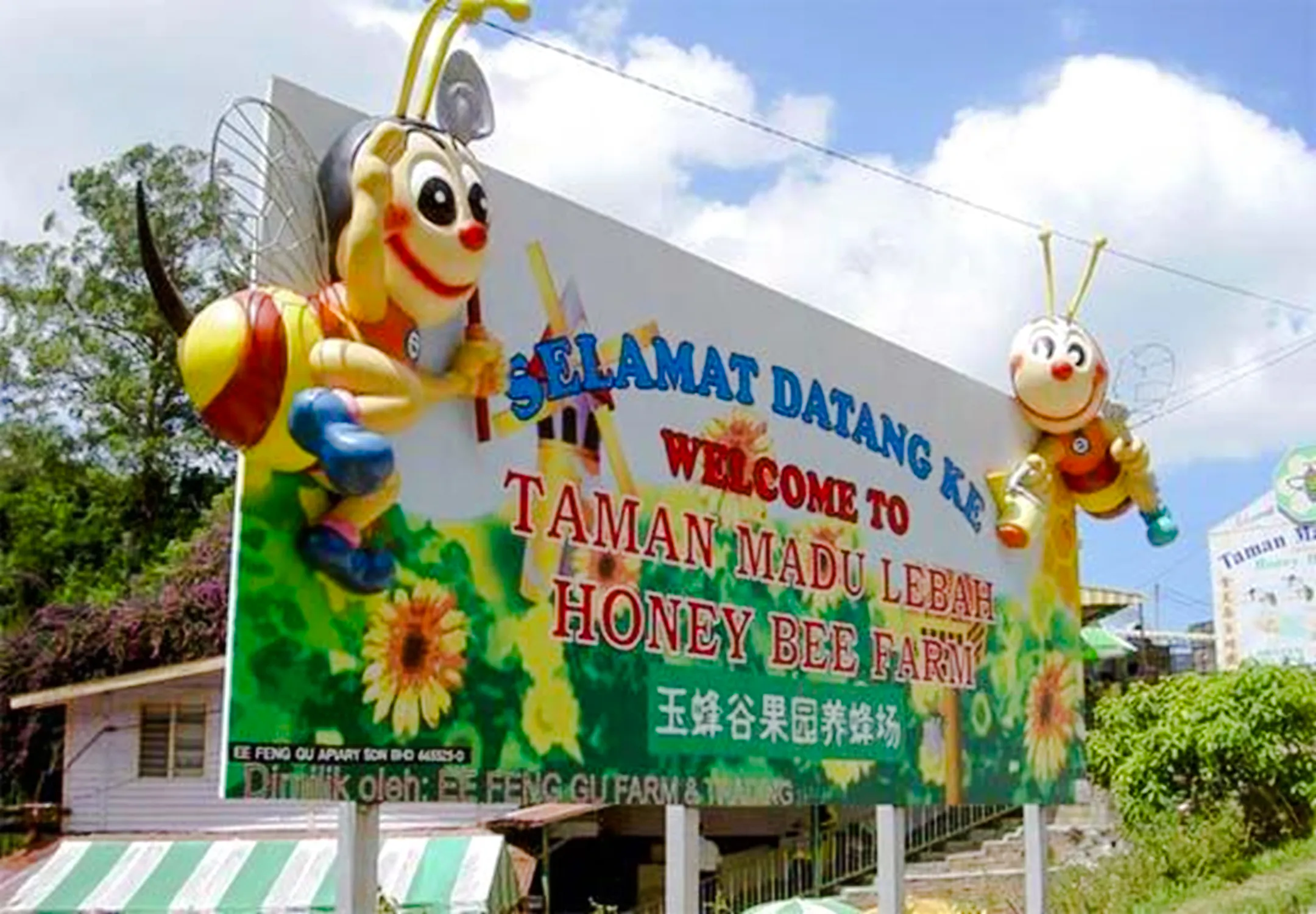 from kuala lumpur: private cameron highlands tour-15