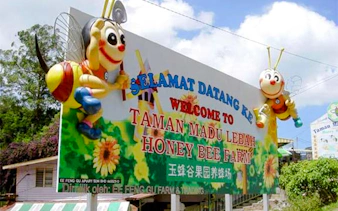 from kuala lumpur: private cameron highlands tour-15
