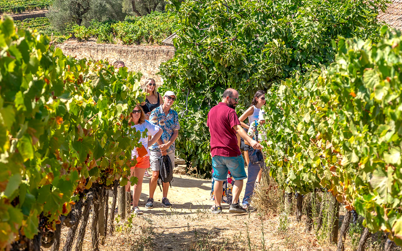 Tour classico della Valle del Douro con crociera di un'ora nel Pinhão, pranzo tradizionale e degustazioni di vino — 5