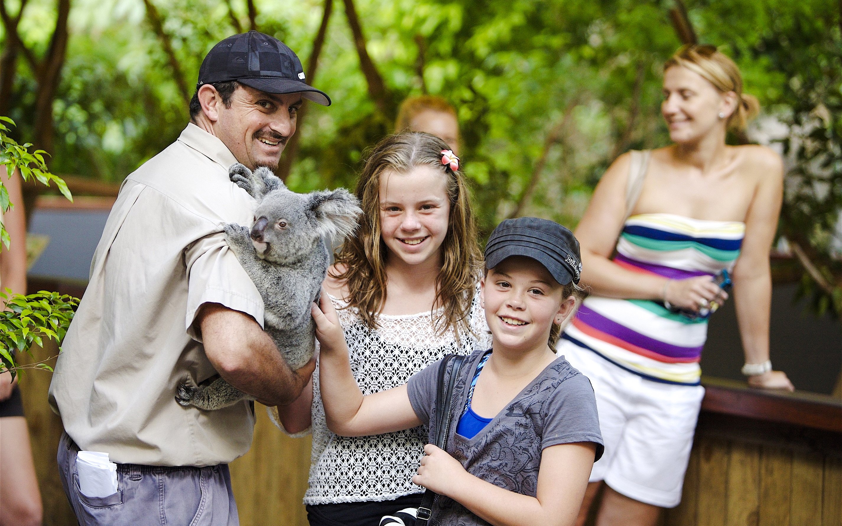 Zookeeper holding a koala with children at Hartley's Crocodile Adventure.
