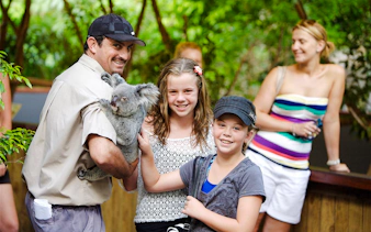 Zookeeper holding a koala with children at Hartley's Crocodile Adventure.