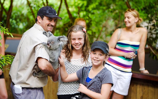 Zookeeper holding a koala with children at Hartley's Crocodile Adventure.