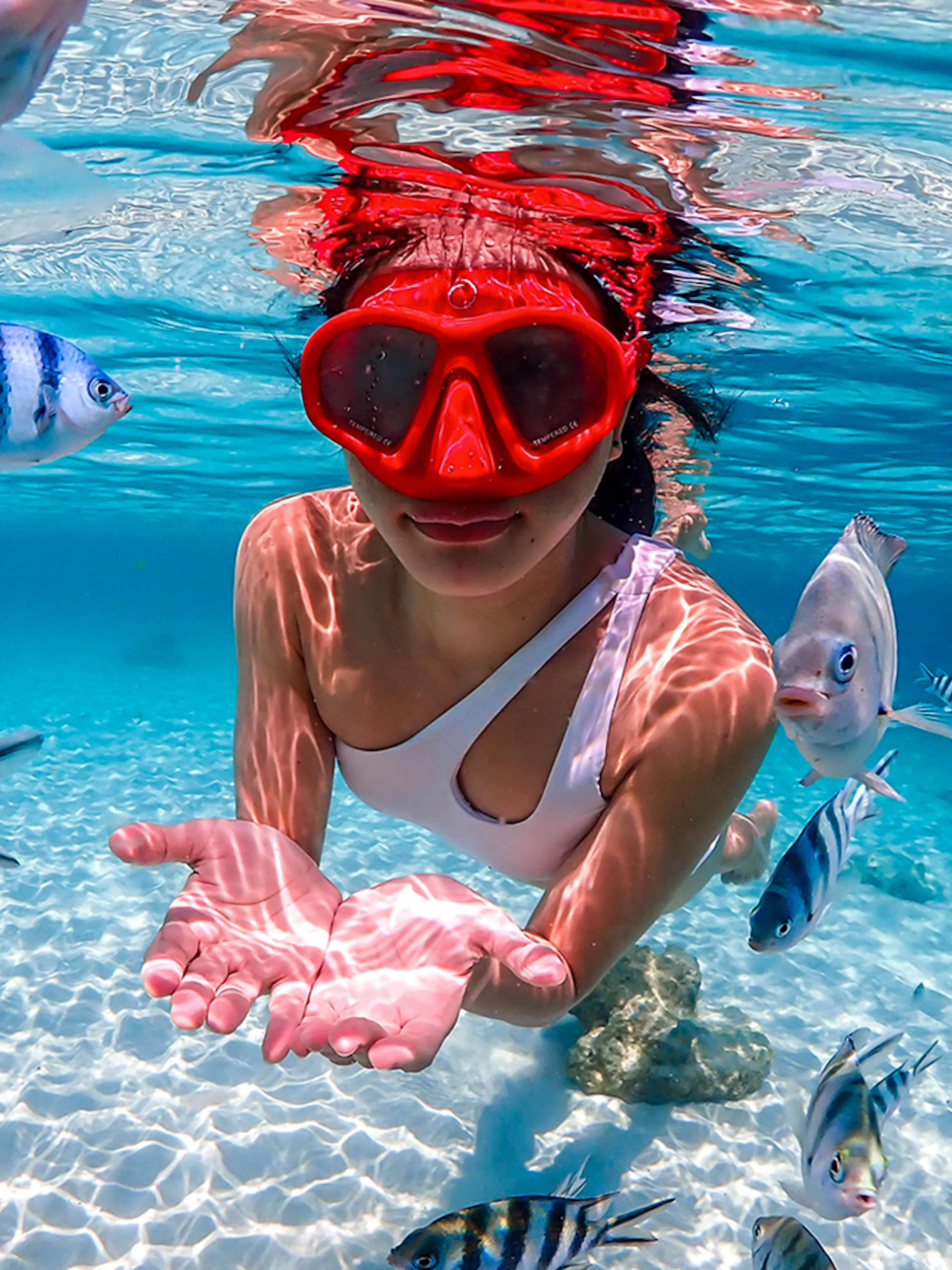 Snorkeler surrounded by tropical fish in clear waters at Nemo Island near Pattaya.