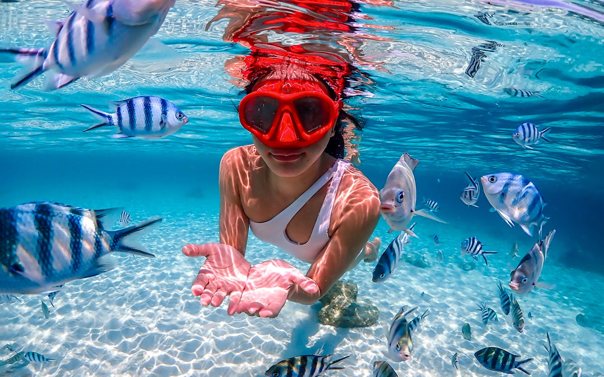 Snorkeler surrounded by tropical fish in clear waters at Nemo Island near Pattaya.