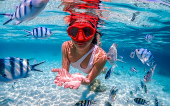 Snorkeler surrounded by tropical fish in clear waters at Nemo Island near Pattaya.
