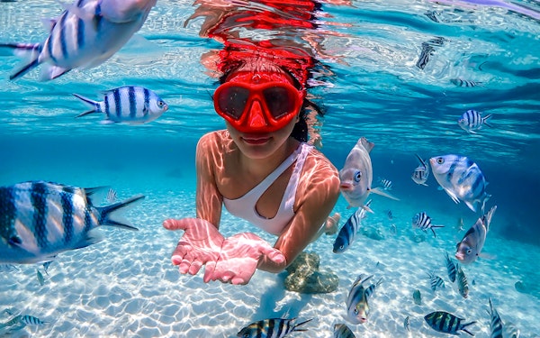 From Pattaya: Nemo Island Guided Trip with Lunch & Drone Photos