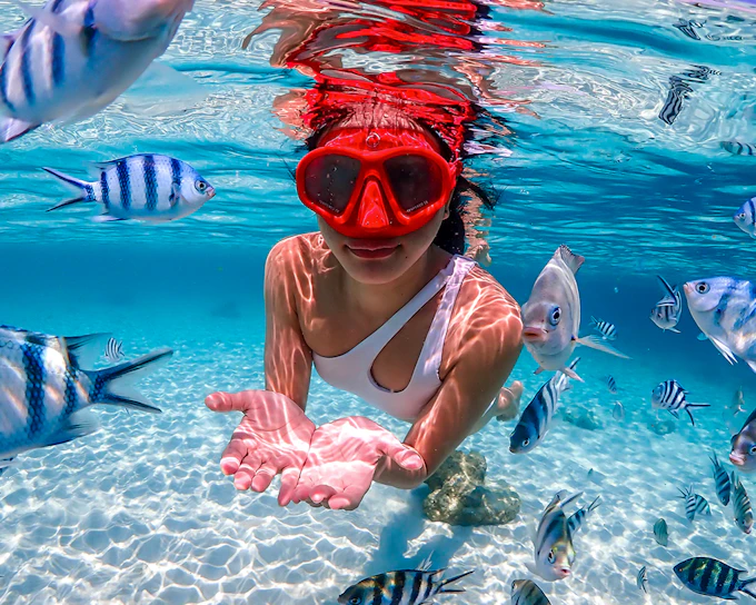From Pattaya: Nemo Island Guided Trip with Lunch & Drone Photos