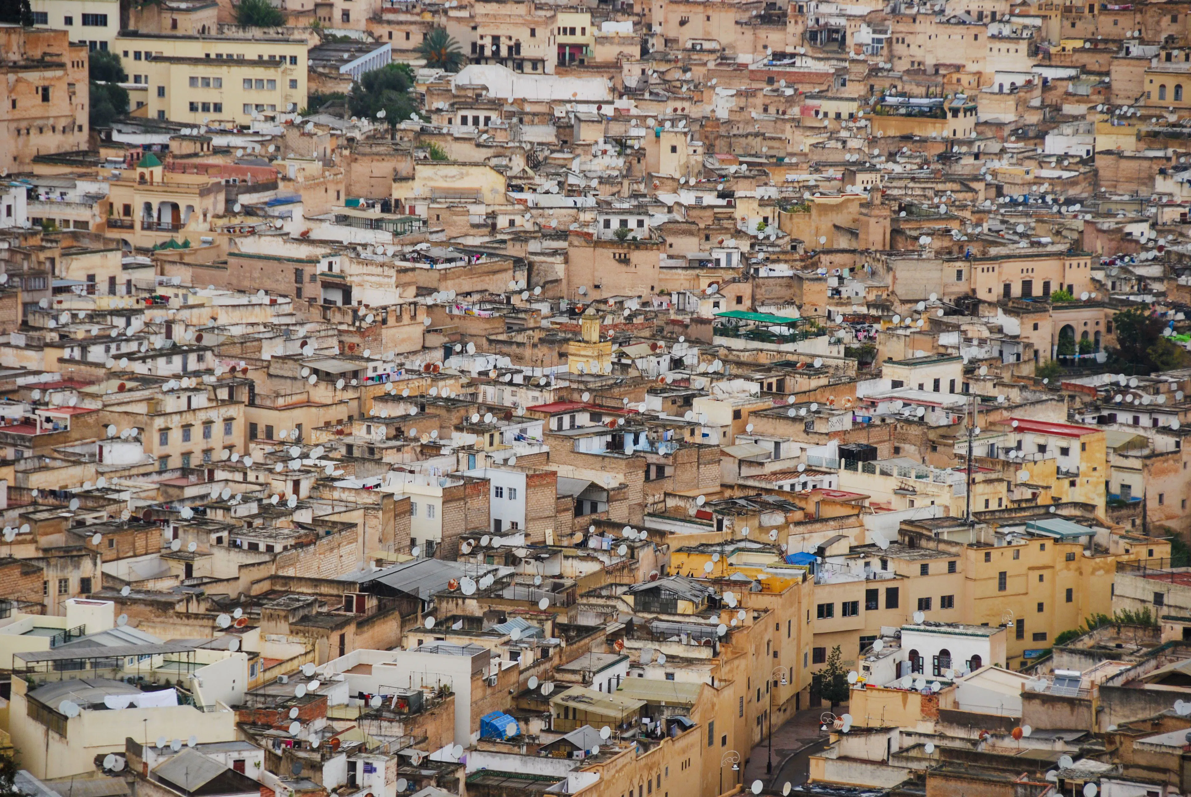 visite à pied de la médina de fès et de la tannerie de chouara-1