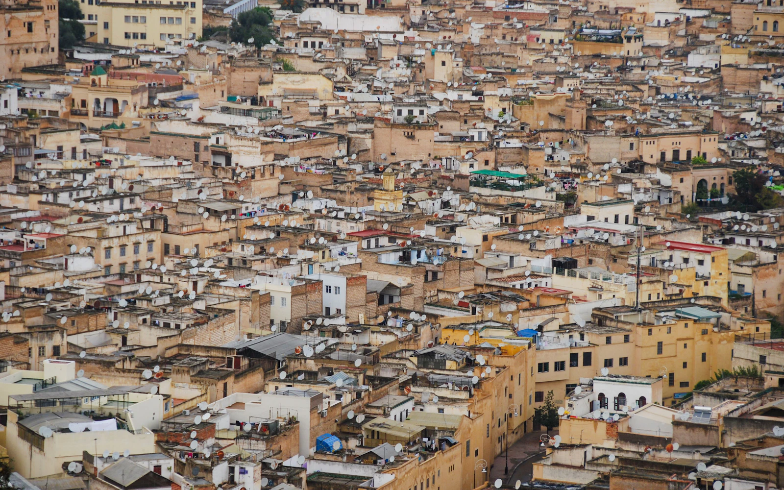 Fes Medina and Chouara Tannery Walking Tour