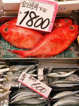 Fresh fish display with price tags at Tsukiji Fish Market, Tokyo.