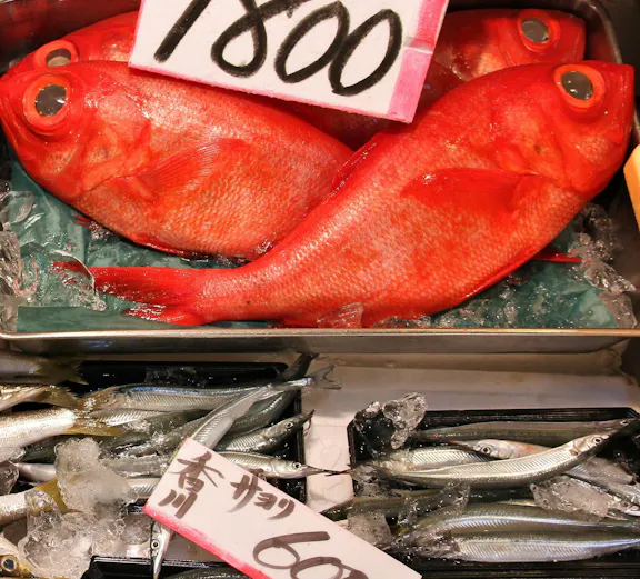 Fresh fish display with price tags at Tsukiji Fish Market, Tokyo.