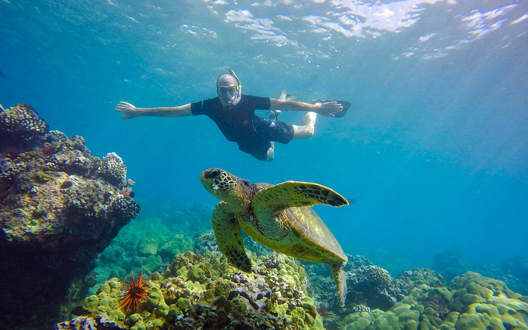 Snorkeler swimming with sea turtle near coral reef on Road to Hana, Maui, Hawaii.