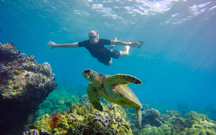 Snorkeler swimming with sea turtle near coral reef on Road to Hana, Maui, Hawaii.