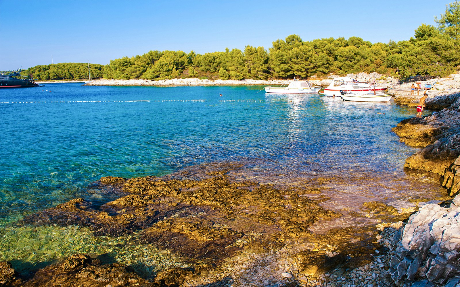 Rocky shoreline with boats in clear waters of Pakleni Islands, Croatia.