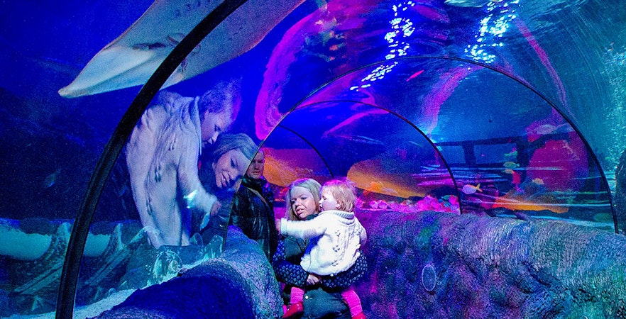 Visitors walking through the Ocean Tunnel at Sea Life Loch Lomond, viewing marine life above.