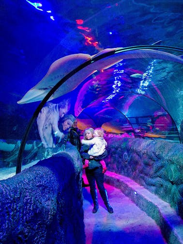 SEA LIFE Loch Lomond