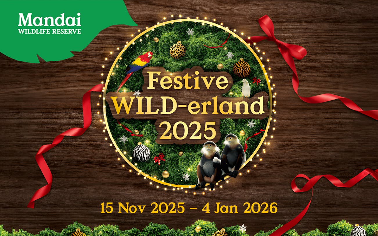 Festive WILD-erland 2025 event poster with animals and decorations at Mandai Wildlife Reserve, Singapore.