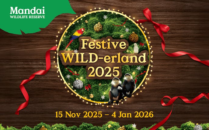 Festive WILD-erland 2025 event poster with animals and decorations at Mandai Wildlife Reserve, Singapore.