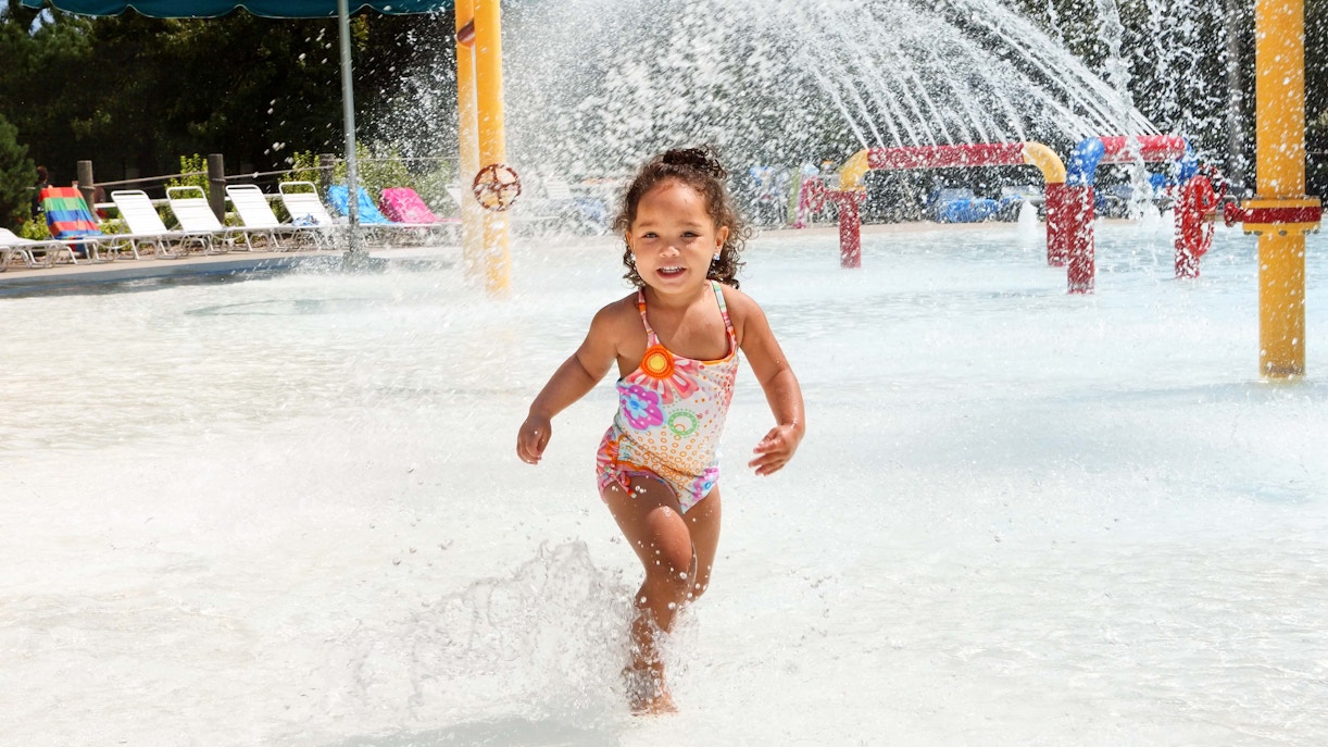 Everland Seoul tickets - Highlights