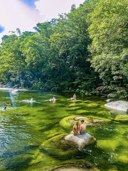 People swimming in a clear river surrounded by lush greenery in Daintree National Park.