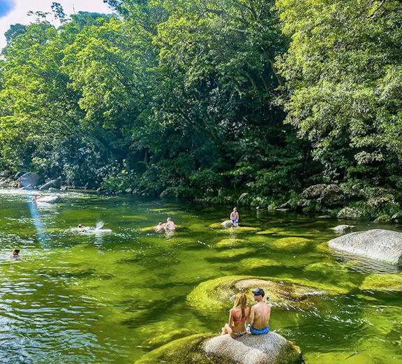 People swimming in a clear river surrounded by lush greenery in Daintree National Park.