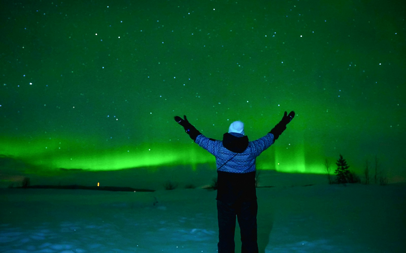 Man looking at Northern Lights.
