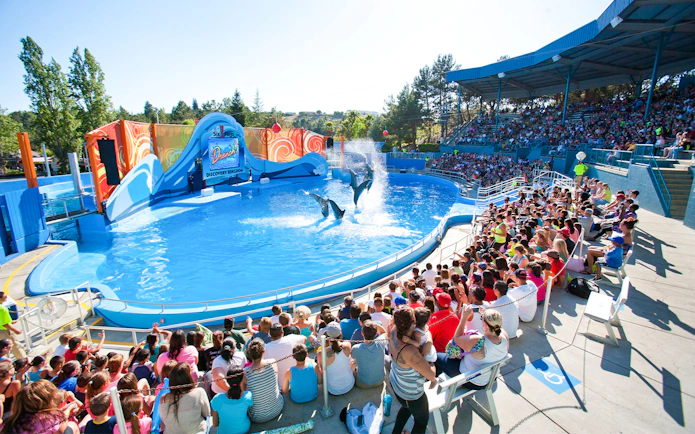 Dolphins performing at Discovery Kingdom show, Six Flags, California, with audience watching.