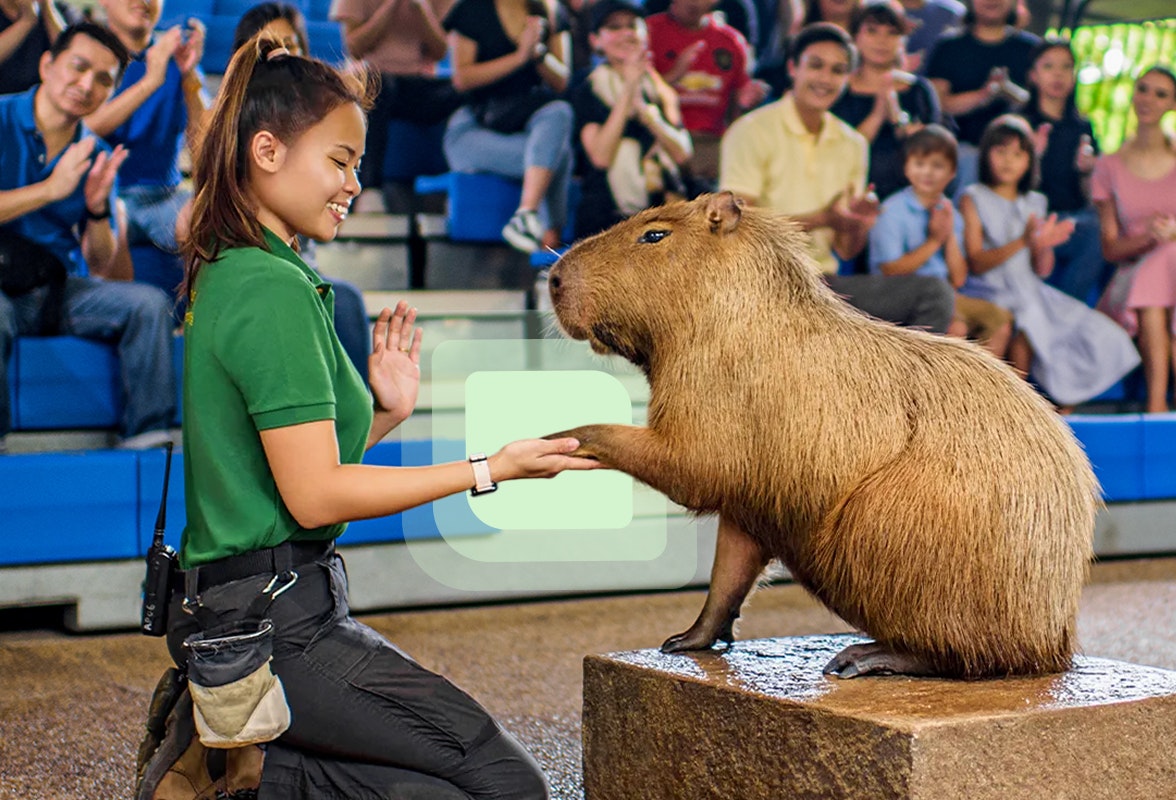 Assistance garantie à 100 %