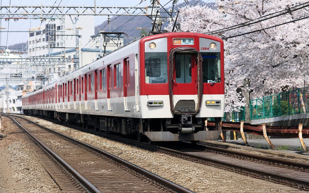 Train traveling through cherry blossoms in Kansai, Japan, with Kansai Thru Pass.