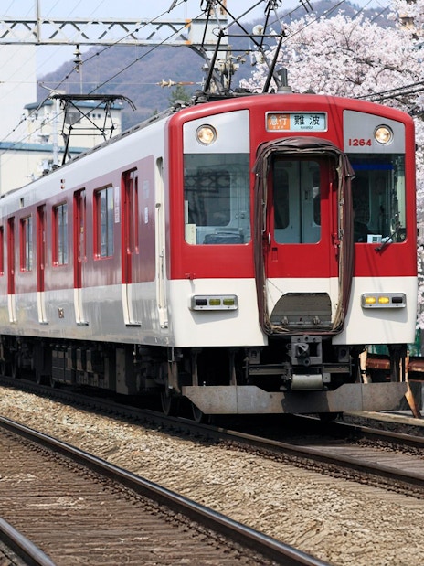 Train traveling through cherry blossoms in Kansai, Japan, with Kansai Thru Pass.