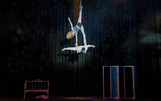 Acrobats performing aerial act at Woodstock Variety Show.