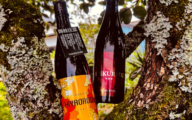 Bottles of Yasakaturu sake on a mossy tree, featured in the Kyoto Takeno Sake Brewery Tour.