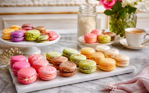 fragonard parfüm müze ziyareti ve alain ducasse çikolata tadımı dahil paris makaron yapımı kursu-1