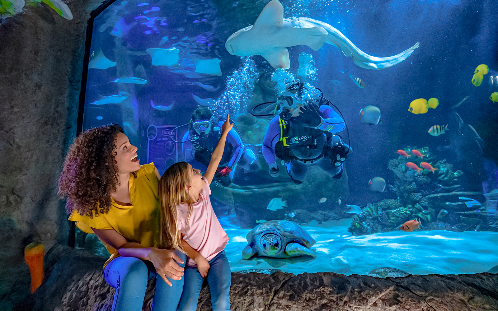 Divers and visitors observing marine life at Sea Life Orlando's Indian Ocean section.