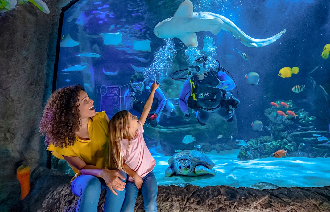 Divers and visitors observing marine life at Sea Life Orlando's Indian Ocean section.
