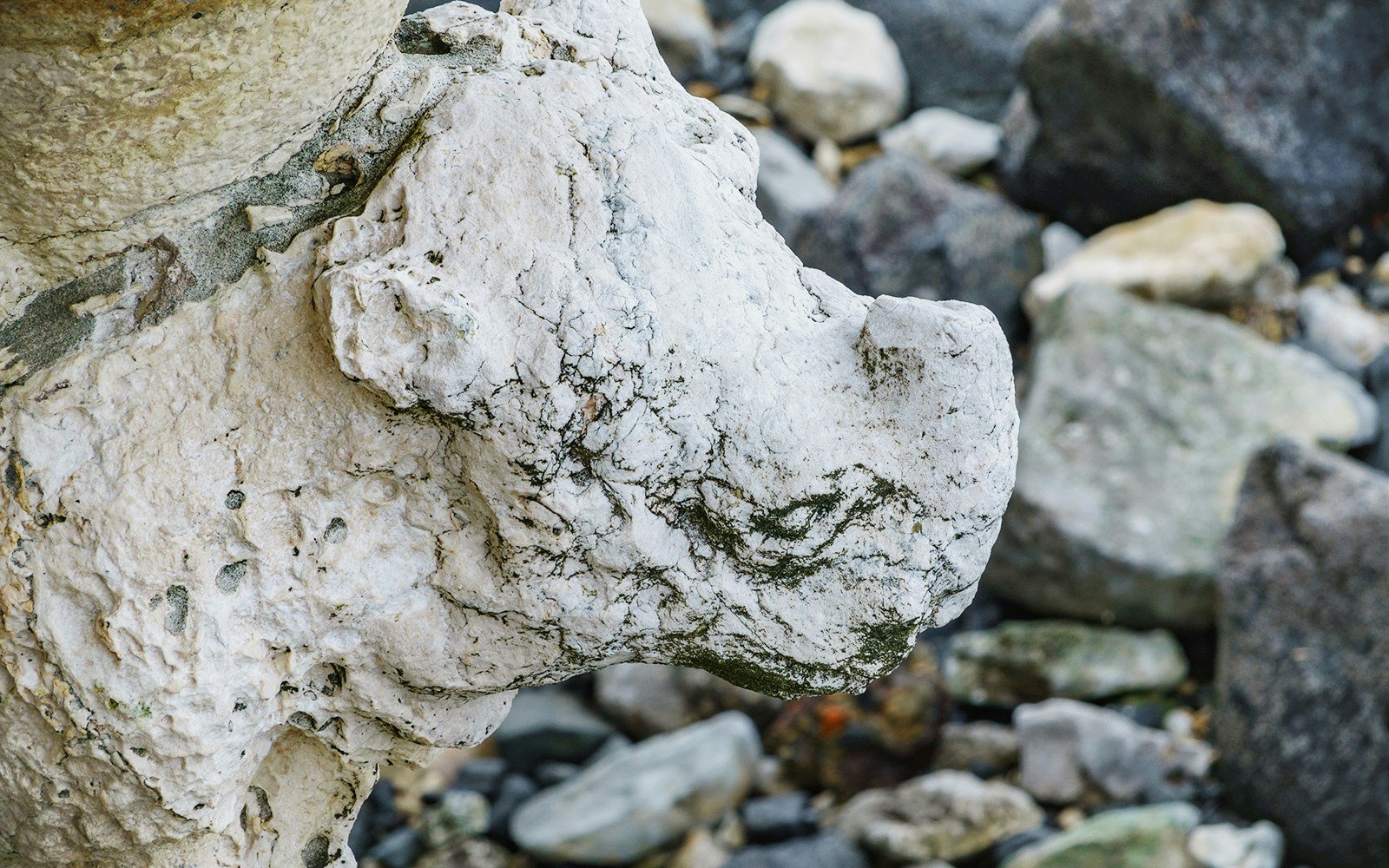 Stone rhino sculpture detail at Belem Tower, Lisbon.