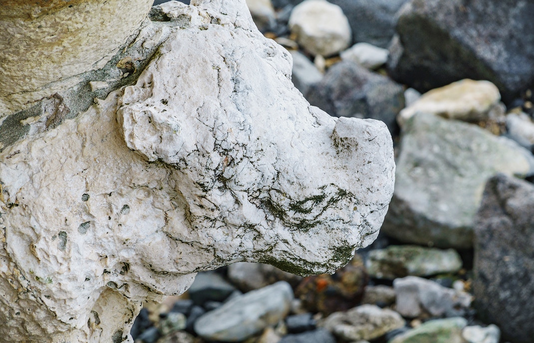 Belem Tower Facts - Rhino closeup