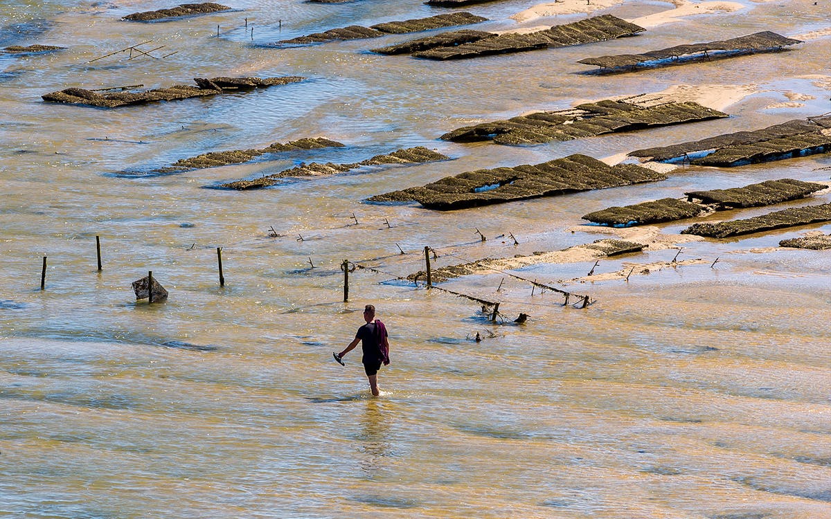 full-day private guided cruise in ria formosa-1 full-day private guided cruise in ria formosa-1