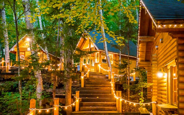 Wooden cabins with string lights in a forest setting, Hokkaido tour from Sapporo.