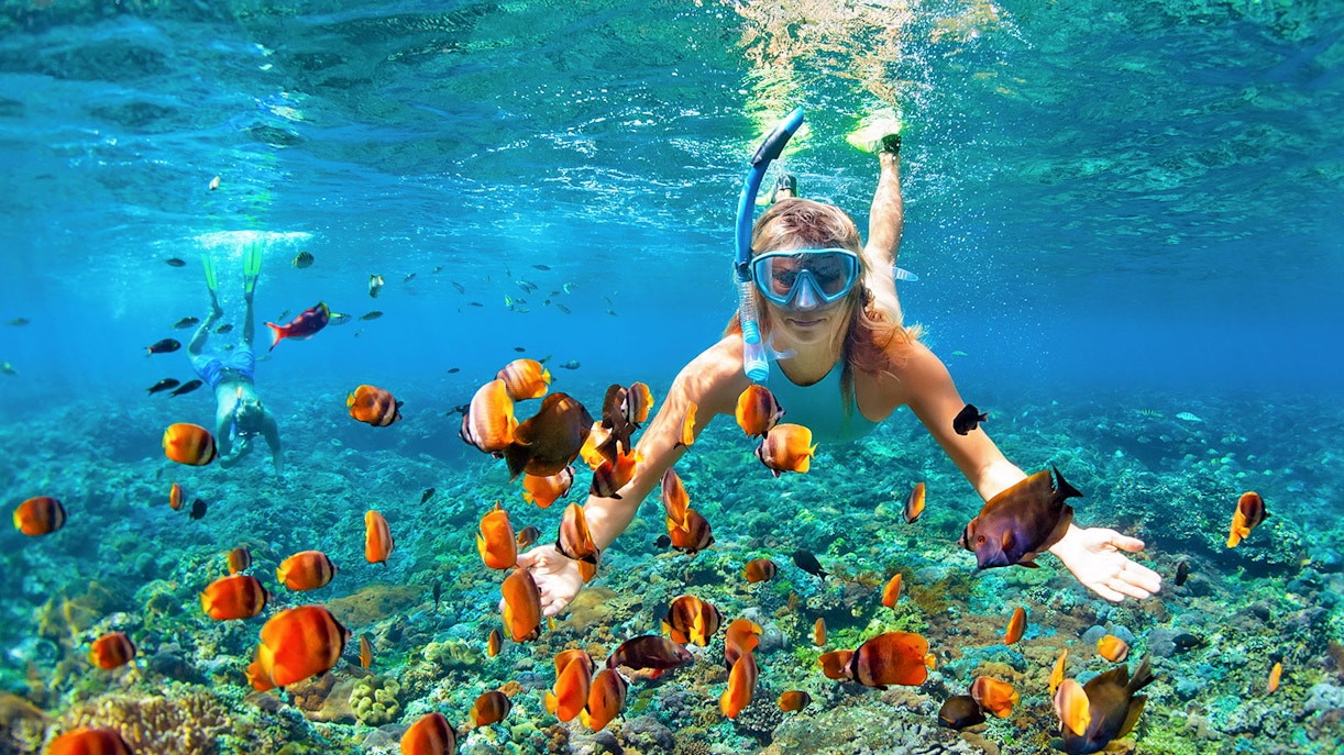 Snorkeler exploring coral reef with colorful fish in Great Barrier Reef, Australia.