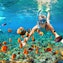 Snorkeling