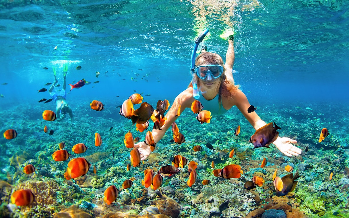 Snorkeler exploring coral reef with colorful fish in Great Barrier Reef, Australia.