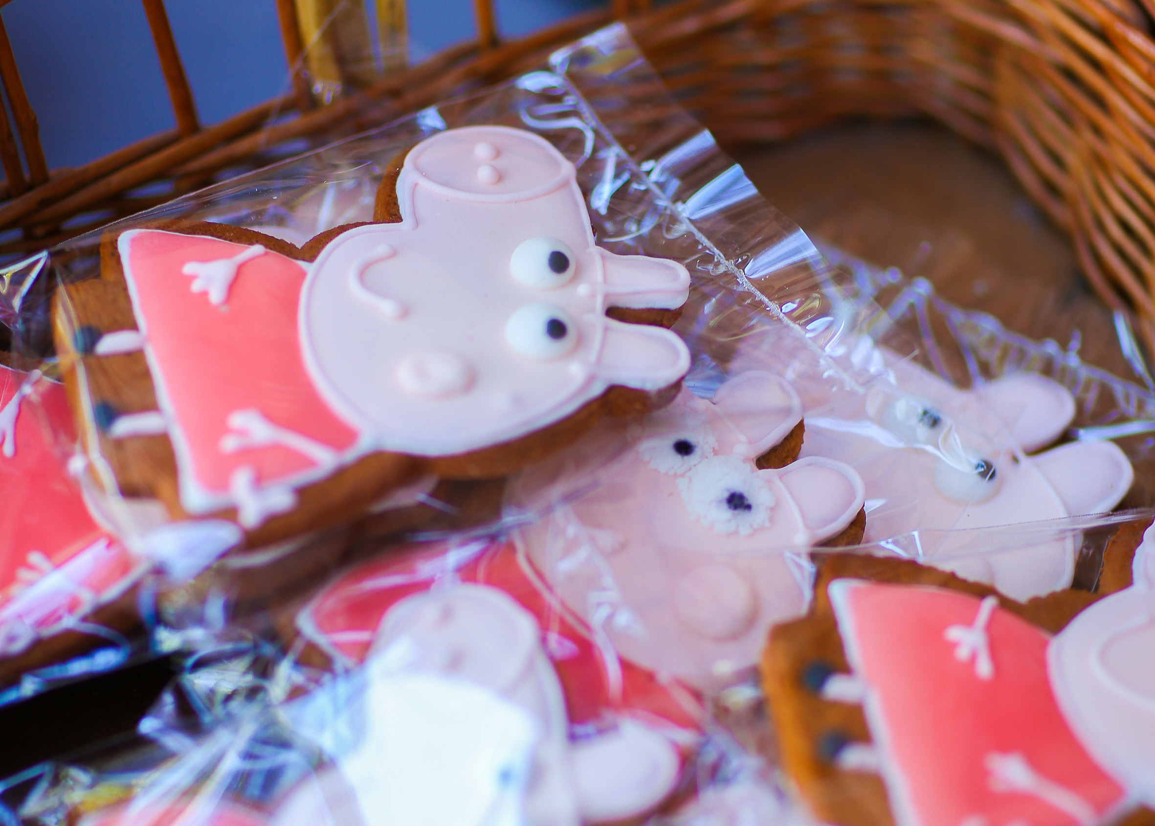 Peppa Pig World of Play