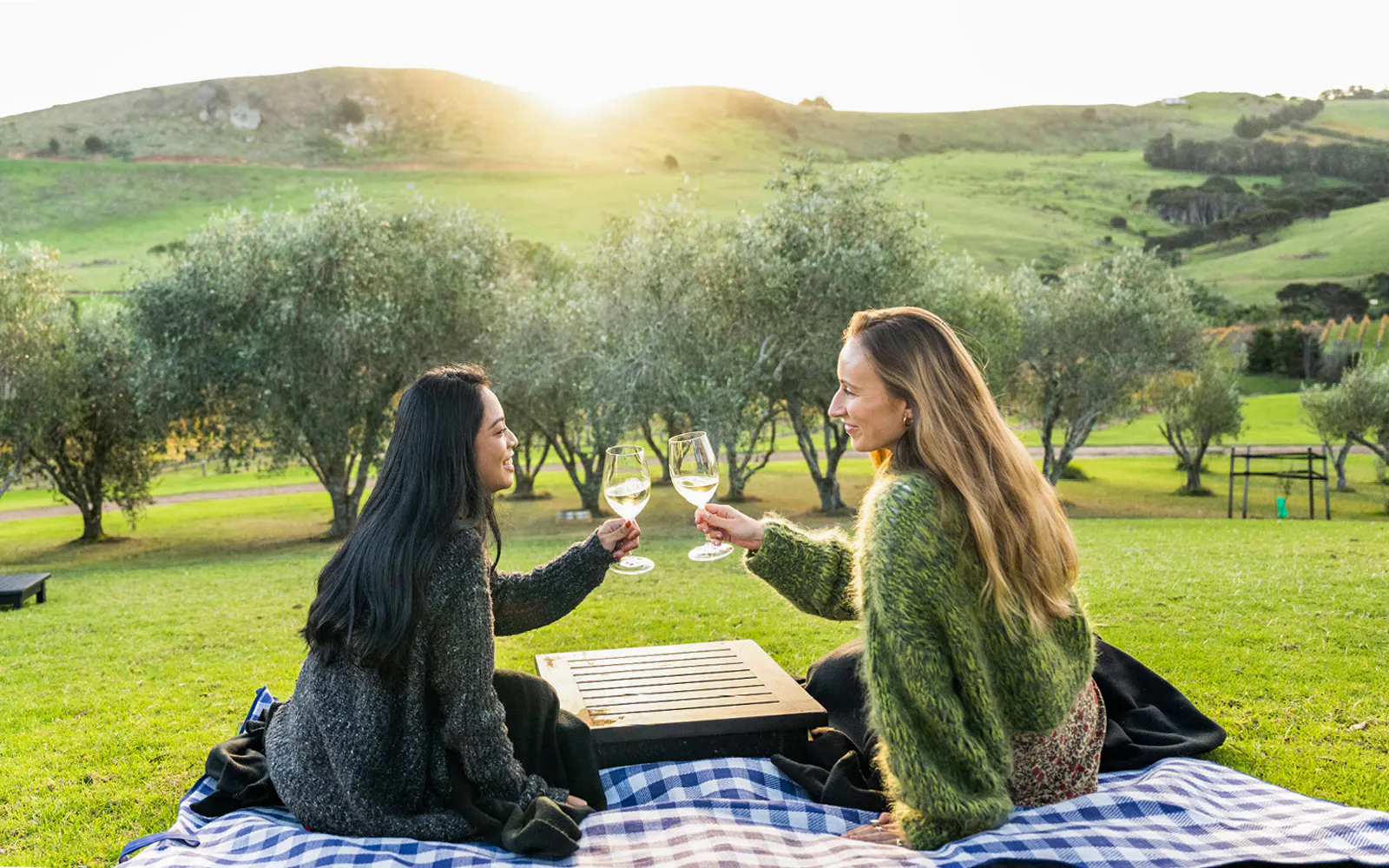 Two women toasting wine at a vineyard picnic with scenic hills in the background.