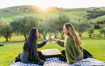 Two women toasting wine at a vineyard picnic with scenic hills in the background.