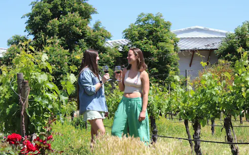 Visitors walking through vineyards at Santa Rita winery, Maipo Valley, Chile.
