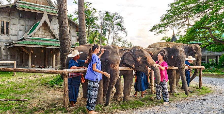 Parque de elefantes de Bangkok